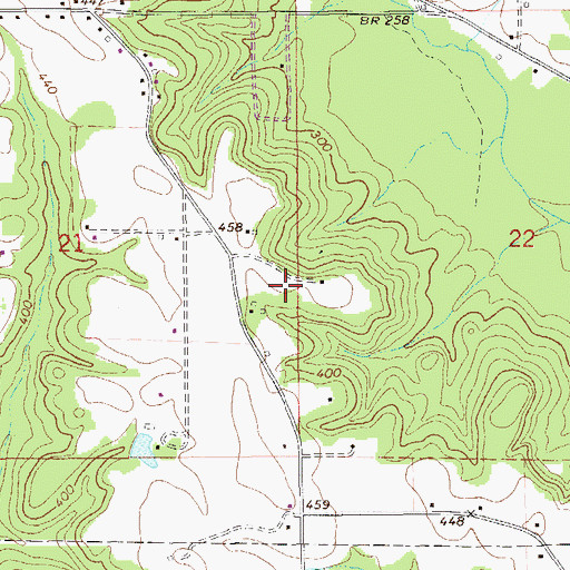 Topographic Map of Perry Store (historical), AL