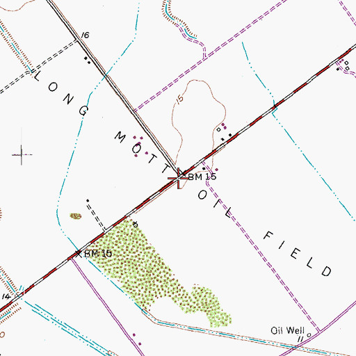 Topographic Map of Long Mott Oil Field, TX
