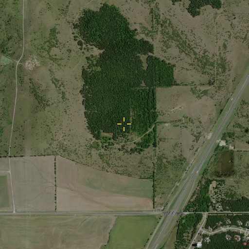 Aerial/Satellite Image of Long Point, TX