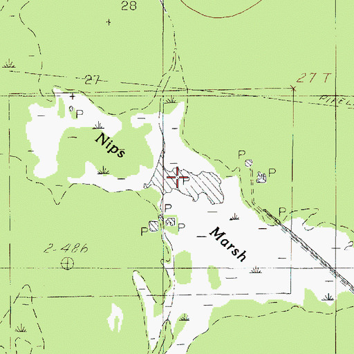 Topographic Map of Nips Marsh, TX