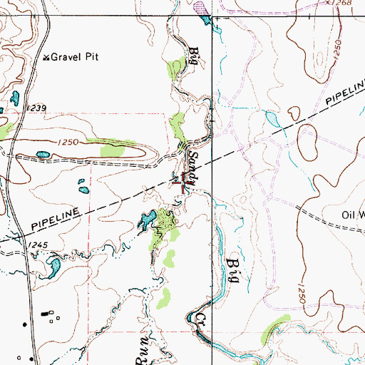 Topographic Map of Long Run, TX