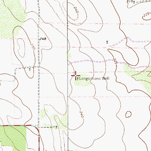Topographic Map of Longorlliano Well, TX