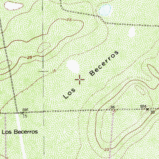 Topographic Map of Los Becerros, TX