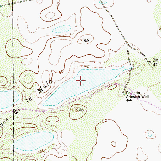 Topographic Map of Los Cayos de la Mula, TX