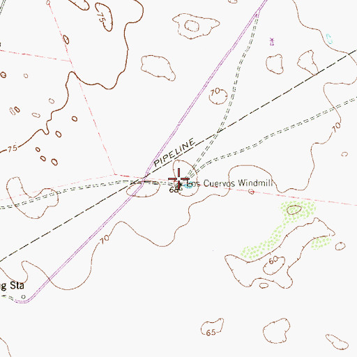 Topographic Map of Los Cuervos Windmill, TX