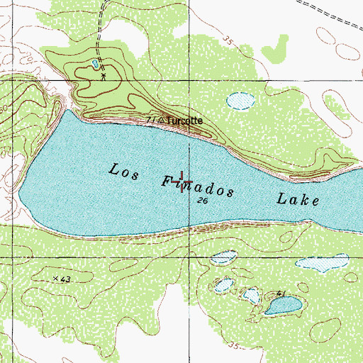 Topographic Map of Los Finados Lake, TX
