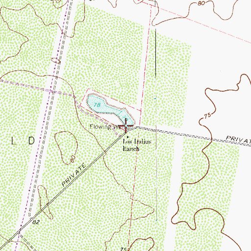 Topographic Map of Los Indios Ranch, TX