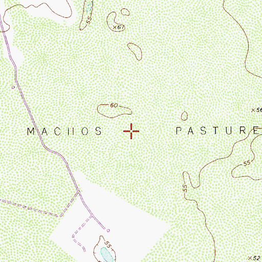 Topographic Map of Los Machos Pasture, TX