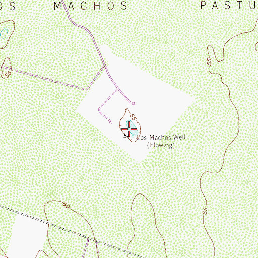 Topographic Map of Los Machos Well, TX