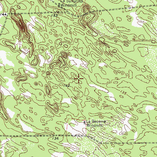 Topographic Map of Los Muertos Pasture, TX