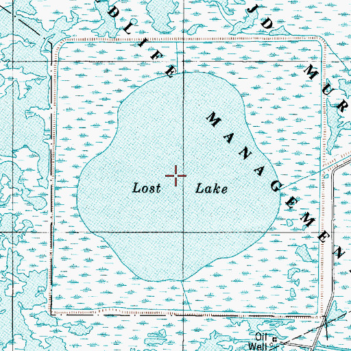 Topographic Map of Lost Lake, TX