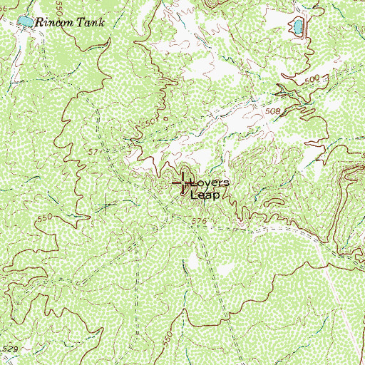 Topographic Map of Lovers Leap, TX