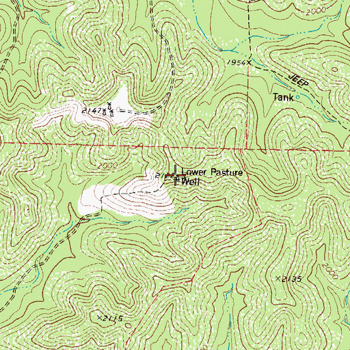 Topographic Map of Lower Pasture Well, TX