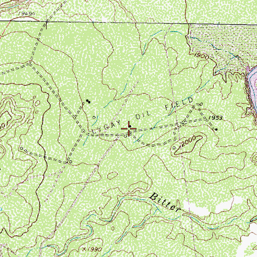 Topographic Map of Lygay Oil Field, TX