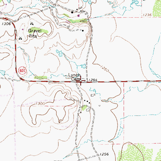 Topographic Map of Lynch Cemetery, TX