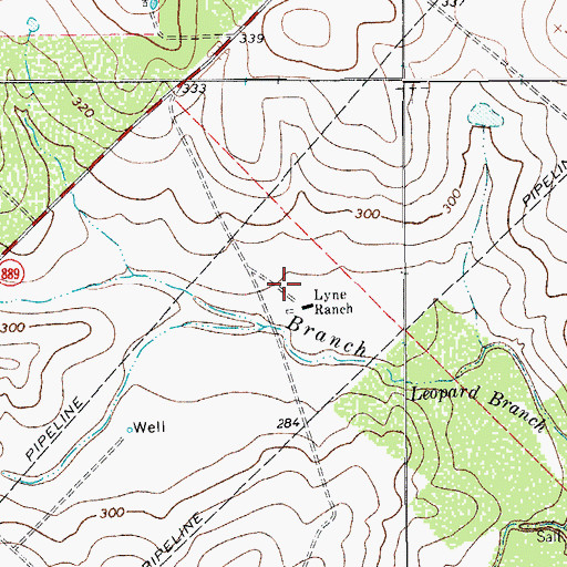 Topographic Map of Lyne Ranch, TX
