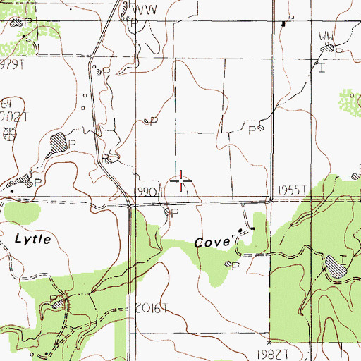 Topographic Map of Lytle Cove, TX