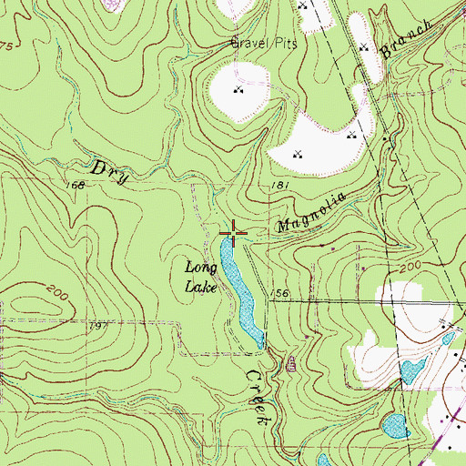 Topographic Map of Magnolia Branch, TX