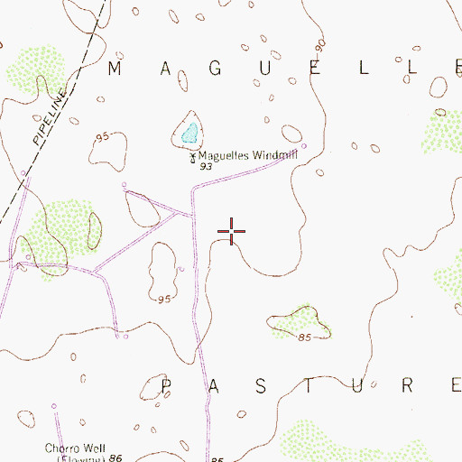 Topographic Map of Maguelles Pasture, TX