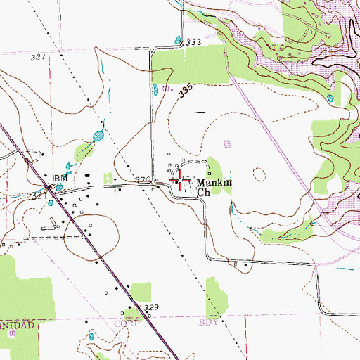 Topographic Map of Mankin Church, TX