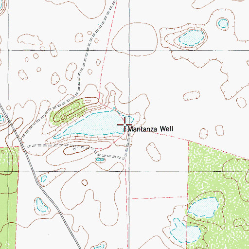Topographic Map of Mantanza Well, TX