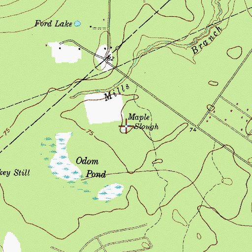 Topographic Map of Maple Slough, TX