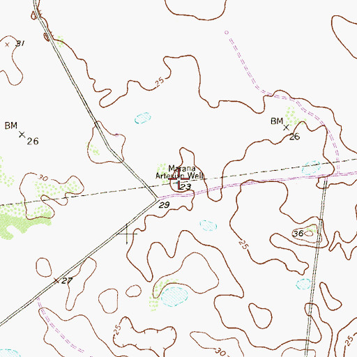 Topographic Map of Marana Artesian Well, TX