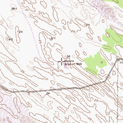 Topographic Map of Marana Artesian Well, TX