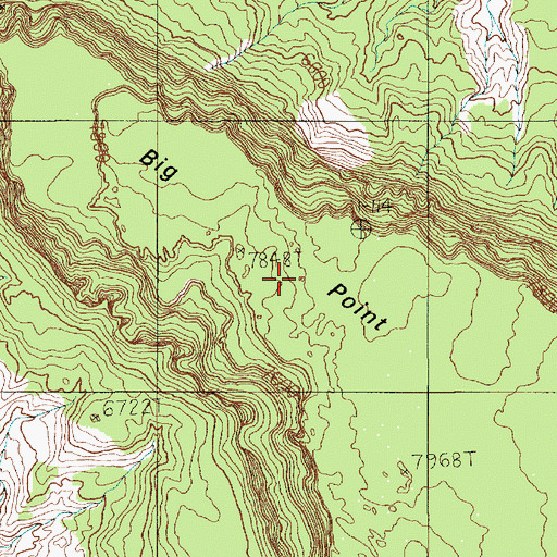 Topographic Map of Big Point, AZ