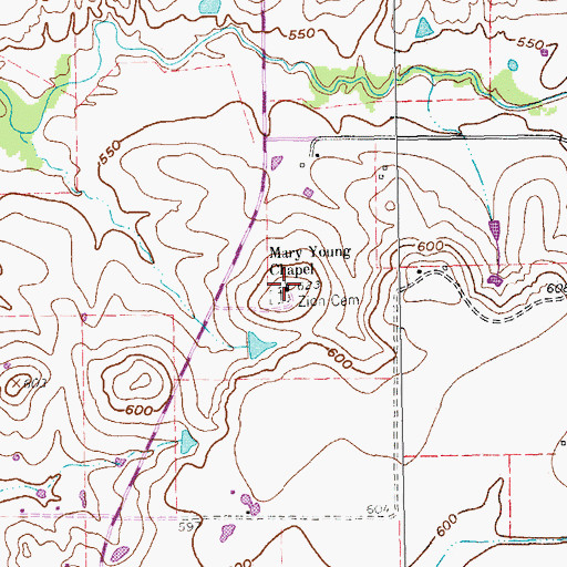 Topographic Map of Mary Young Chapel, TX