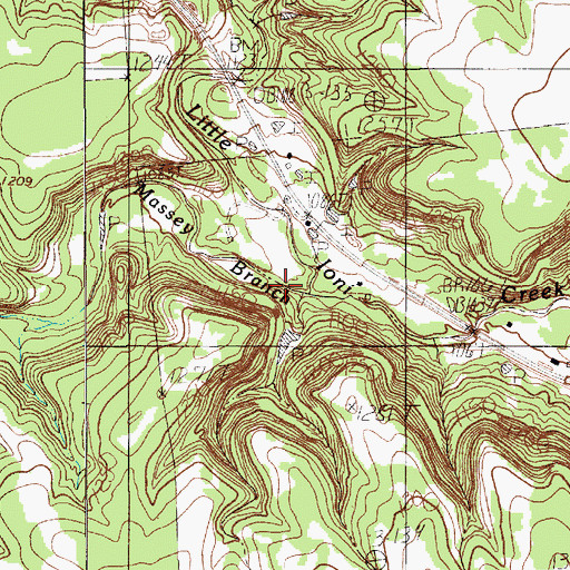 Topographic Map of Massey Branch, TX