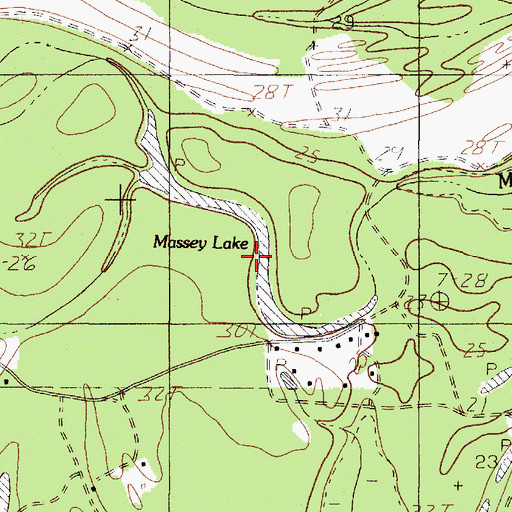 Topographic Map of Massey Lake, TX