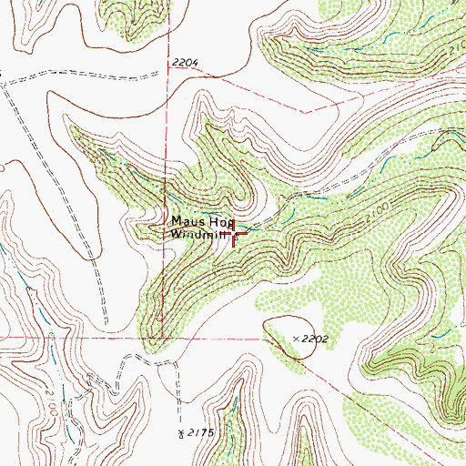 Topographic Map of Maus Hog Windmill, TX