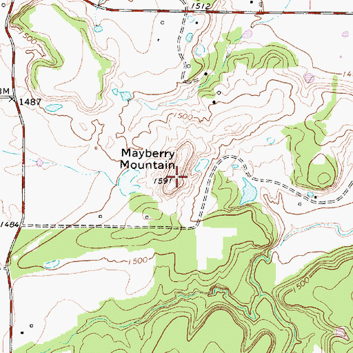 Topographic Map of Mayberry Mountain, TX