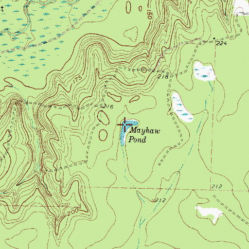 Topographic Map of Mayhaw Pond, TX