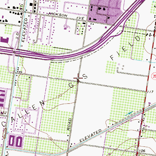 Topographic Map of McAllen Gas Field, TX