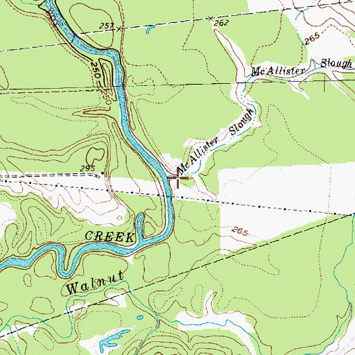 Topographic Map of McAllister Slough, TX