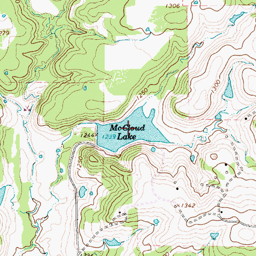 Topographic Map of McCloud Lake, TX