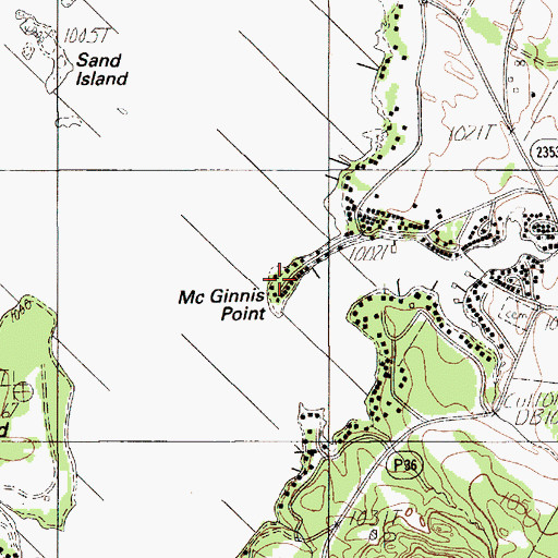 Topographic Map of McGinnis Point, TX