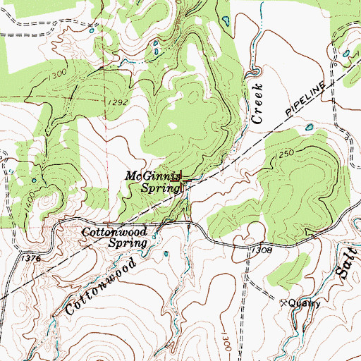 Topographic Map of McGinnis Spring, TX