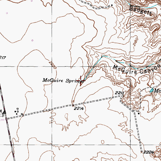 Topographic Map of McGuire Spring, TX