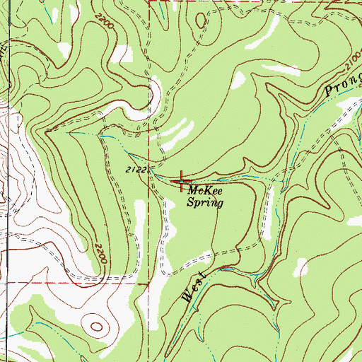 Topographic Map of McKee Spring, TX