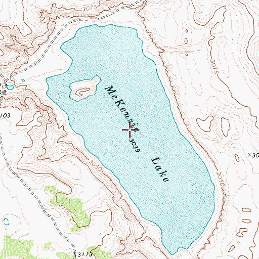 Topographic Map of McKenzie Lake, TX