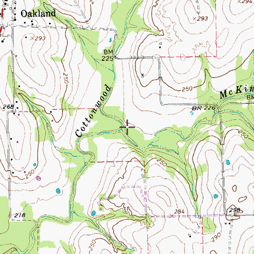 Topographic Map of McKinnon Branch, TX