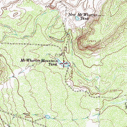 Topographic Map of McWhorter Mountain Tank, TX