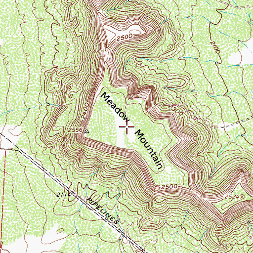 Topographic Map of Meadow Mountain, TX