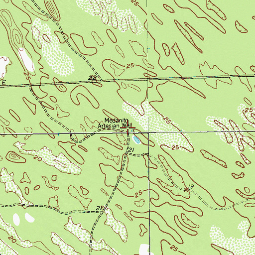 Topographic Map of Medanito Artesian Well, TX