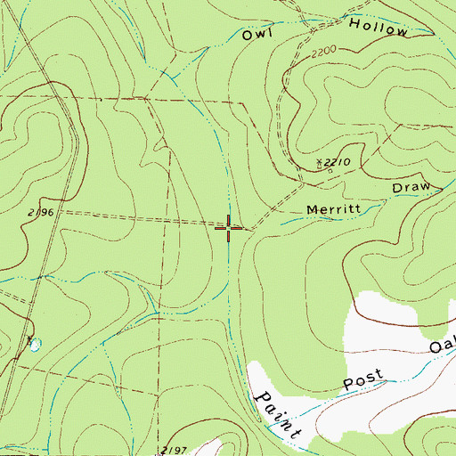 Topographic Map of Merritt Draw, TX