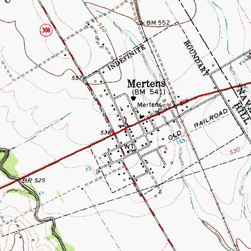 Topographic Map of Mertens, TX