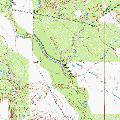 Topographic Map of Mesquite Branch, TX